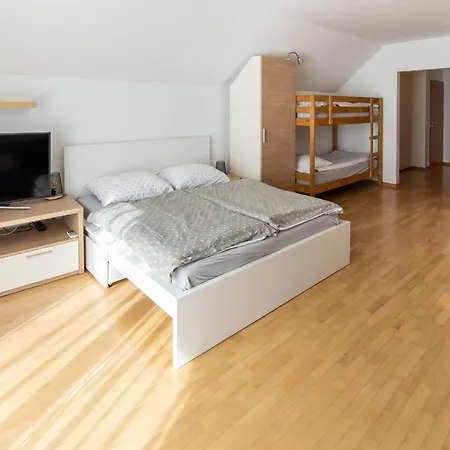 Apartment Muznik Bled Buitenkant foto