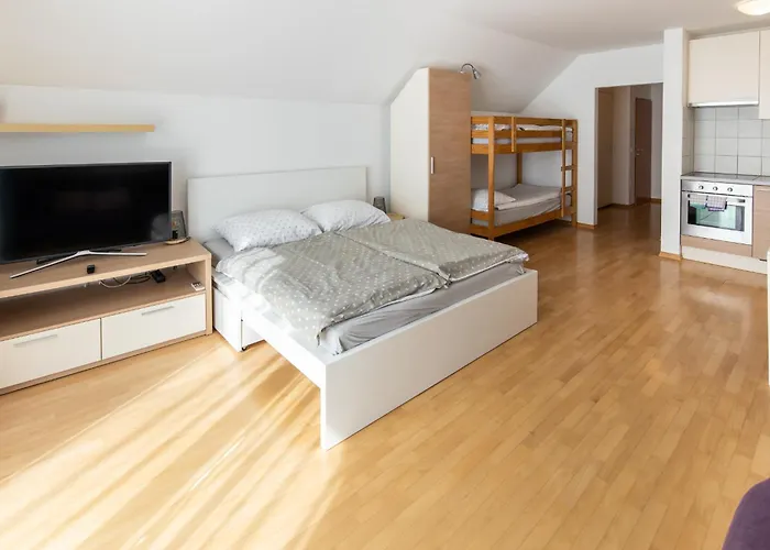 Apartment Muznik